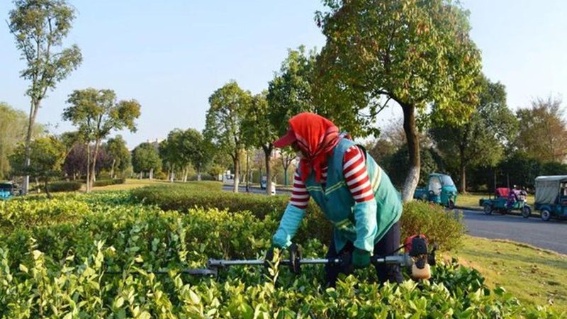 市政绿化土建技术参数尺寸解析：关键指标与施工要点**