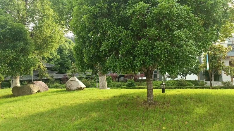 四川苗木基地苗木标准规范