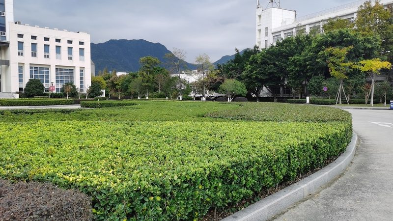 植物墙施工：资质要求解析与标准解读**