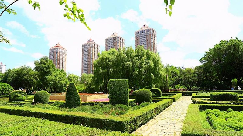 苗木种植技术视频教程：从选苗到养护的完整步骤详解