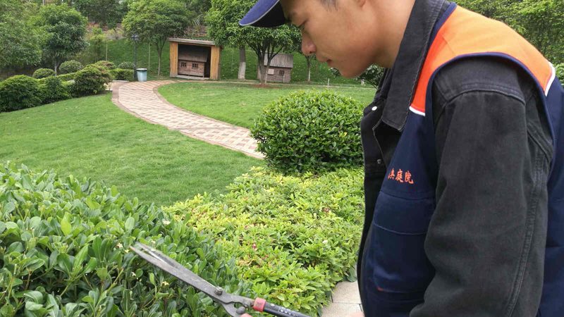园林绿化土建交叉施工，哪些细节不容忽视？**