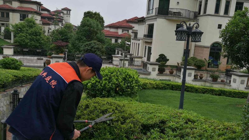 小区绿化工程验收标准