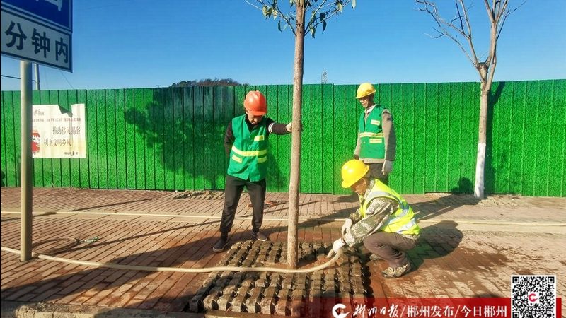草坪铺设维护保养：关键步骤与常见误区