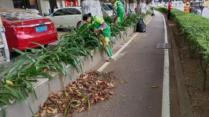 上海园林景观设计效果图：如何打造城市绿肺**