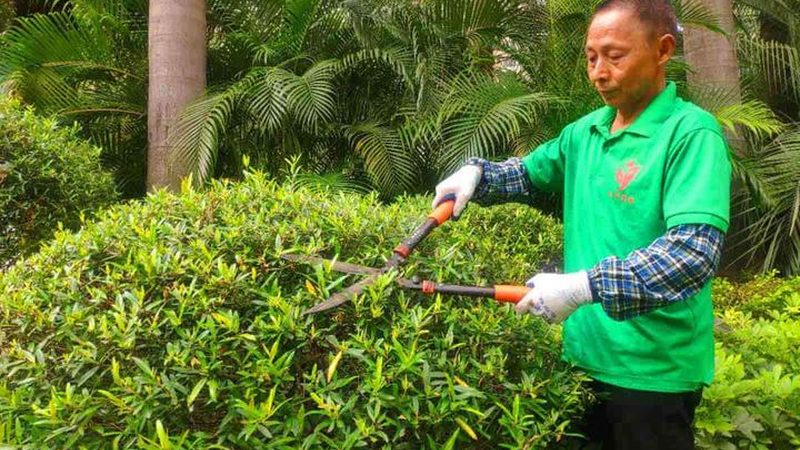揭秘足球场人造草皮：十大品牌背后的技术与选择